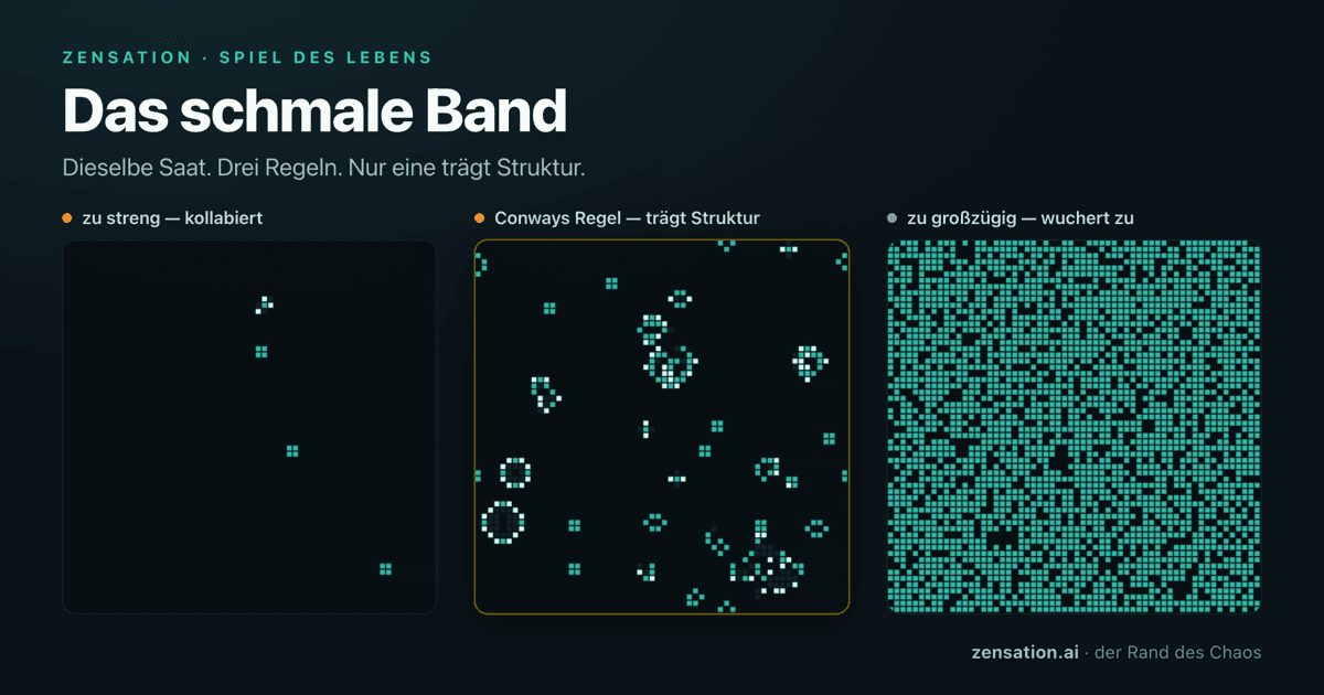 Das schmale Band